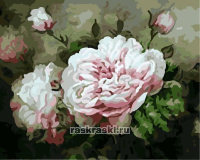Картина по номерам Красные тюльпаны, Menglei, MV - описание, отзывы, продажа | CultMall